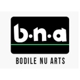 Bodile Nu Arts