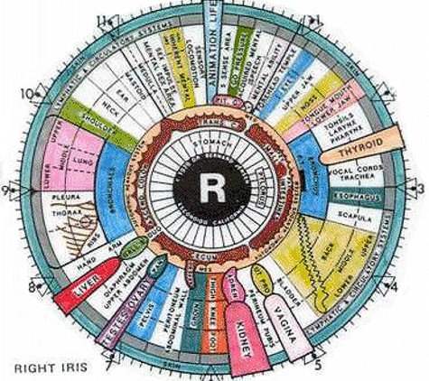 EarthEssence Natural Therapies - Newstead, TAS. Iridology - the window to your health