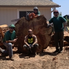 Top Tier Tree Care