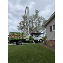 Taylorsville Tree Care - Tree Service