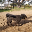 El Segundo Dog Park - Parks