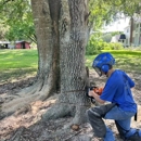 Tree Pros of Florida - Tree Service
