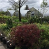Begick Nursery & Garden Center gallery
