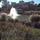 Maple Grove Cemetery - Cemeteries