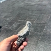 Dryer Vent Cleaning Spring Hill gallery