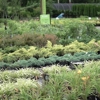 Spring Valley Nursery gallery