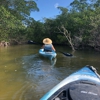 Tarpon Bay Explorers gallery