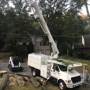 Jungle Jim's Tree Service, Inc.