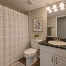 Hampton Greene Apartment Homes - Apartments