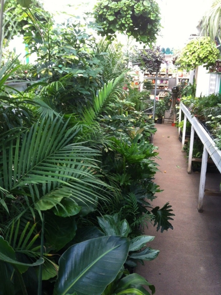Bayer's Garden Shop - Saint Louis, MO