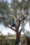 Addicted To Gardens - Tree & Stump Removal Services