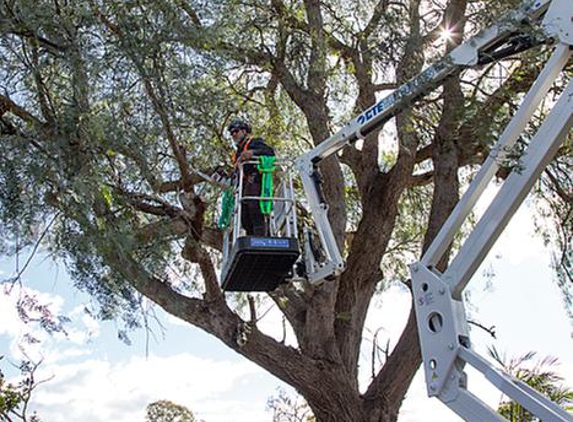 Addicted To Gardens - Colo Vale, NSW. Matt at work