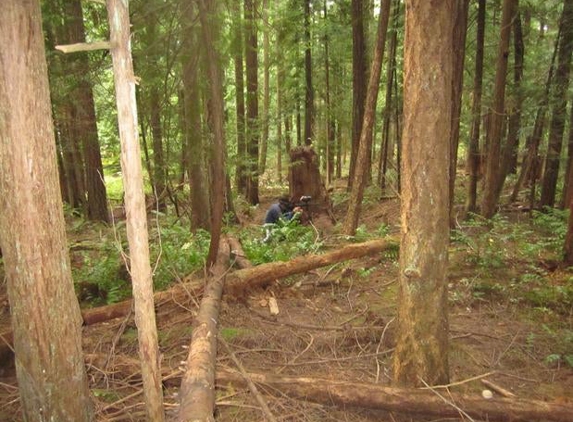 Puyallup Paintball Field - Orting, WA