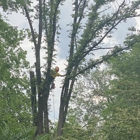 Petree Arbor Lawn & Landscape, INC