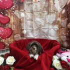 Petsburgh Pet Care