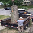 Timberland Tree Service - Tree Service