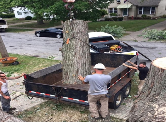 Timberland Tree Service - Broadview Heights, OH