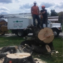 Curb Appeal Landscaping and Tree Service - Tree Service