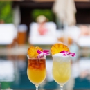Dr. Mai Tai’s - Bars