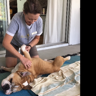 Healing Effects Animal Massage - Tampa, FL