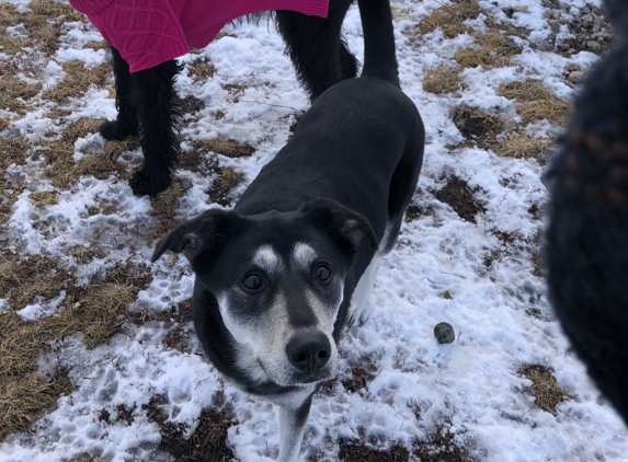 Eddie & Barkus - Fargo, ND