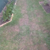 Mick's Grass & Sod Service gallery