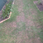 Mick's Grass & Sod Service