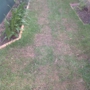 Mick's Grass & Sod Service