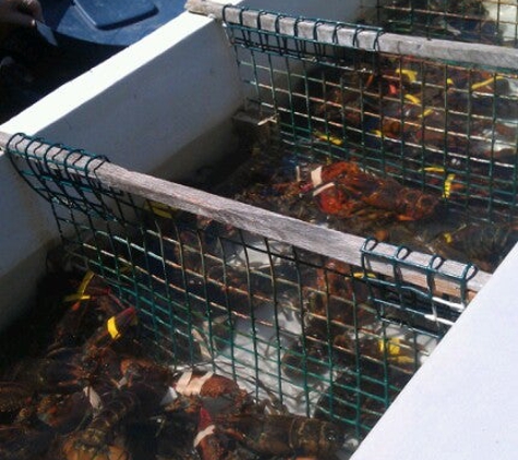 Boothbay Lobster Wharf - Boothbay Harbor, ME