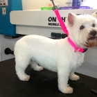 On the Spot Mobile Dog Grooming