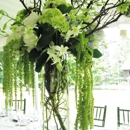 Fleur-de-lis Florist - Florists