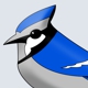 Blue Jay Tax