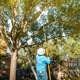 Tree Scouts Tree Service Georgetown
