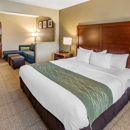Comfort Inn & Suites Lincoln I-20 - Motels