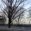 Battery Park City Authority gallery