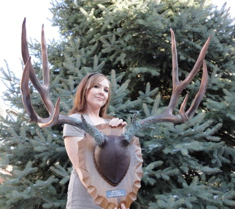 Classic Antler Mounts LLC - Aurora, CO