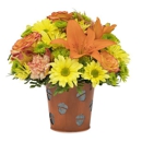 Wild About Flowers - Florists