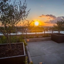 SKYGARDEN Apartments - Apartments