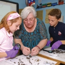 Long Island Lutheran Day School at St. Paul's - Private Schools (K-12)