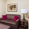 Hampton Inn Lubbock gallery