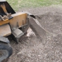 Liput Boys Stump Grinding