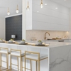 Lion Kitchen Remodel gallery