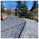 Polar Bear Energy Solutions - Roofing Services Consultants