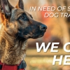 Dog Training Elite Greater Tampa gallery