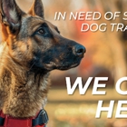 Dog Training Elite Greater Tampa