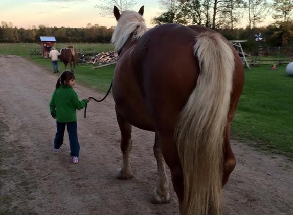 Country Dreams Farm - Plattsburgh, NY