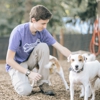 Reynolds Pet Resort - West Linn gallery