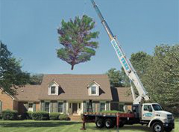 Hansen Landscape & Tree Services - Abington, MA