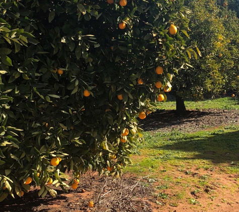 Sunzest The Organic Grower P/L - Somerton, VIC