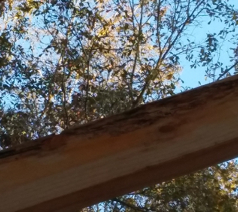 Southern Log Home Builders, Inc - Tavares, FL. Termite Damage